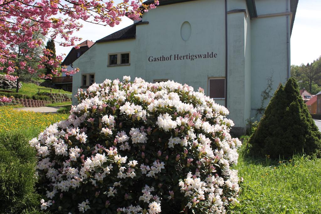 Gasthof Hertigswalde Sebnitz Exterior foto